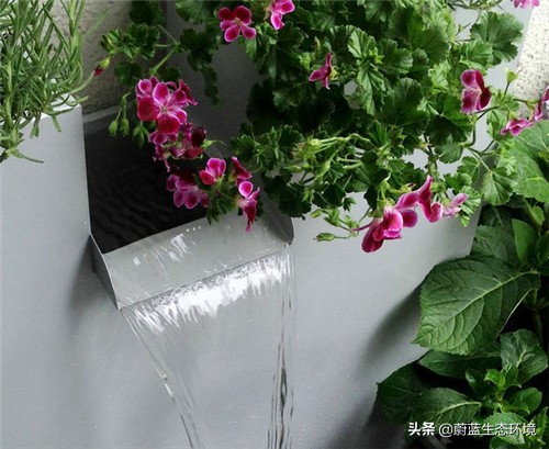 四月份适合在阳台上种植的蔬菜,阳台上种植营养液体蔬菜