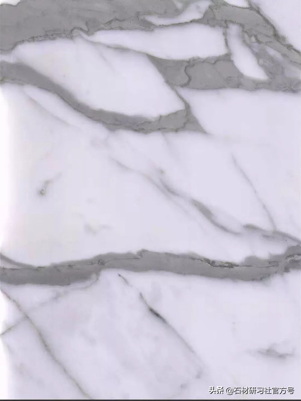 怎么区分大理石雪花白还是鱼肚白,鱼肚白和珍珠白的区别