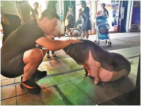 奶茶店请的员工多能挣钱吗,奶茶店请人经营赚钱吗