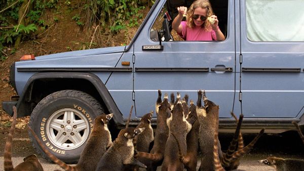 54岁裸辞，花45W流浪地球26年，炸上BBC，这...