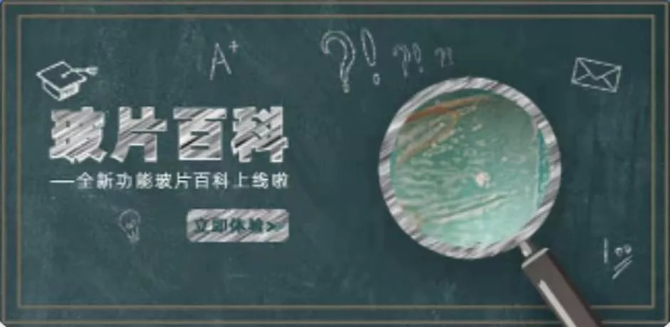 手持式显微镜放大100倍能看清什么,电子数码手机显微镜