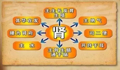 腰酸背痛精神不好缺什么,腰酸背痛感觉肾透支了