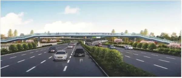 尖叫!苏州碾压一线城市,迎来高光时刻