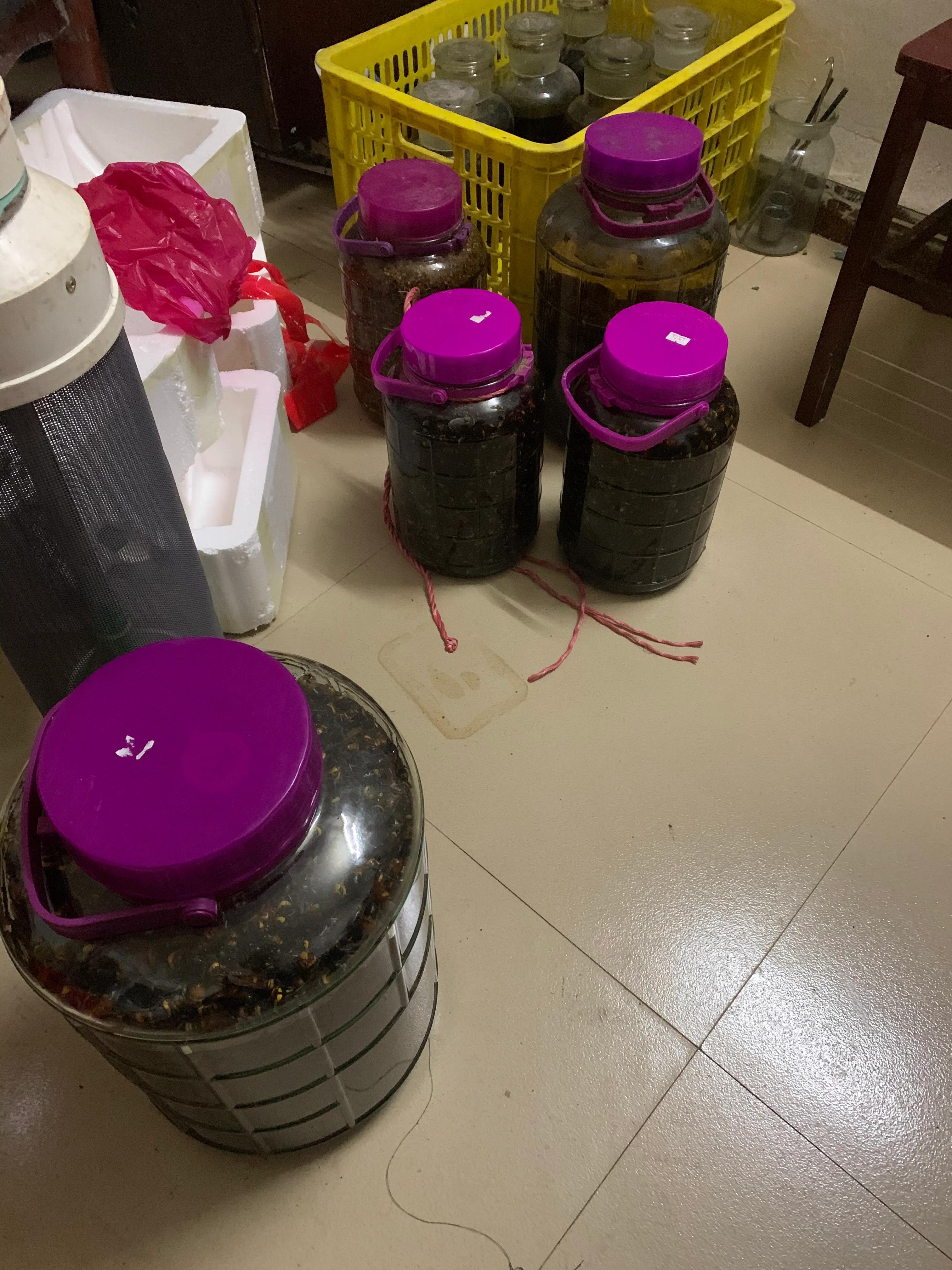 广西各地风景名胜,广西各地风水图