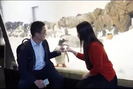 父母秀恩爱对子女的好处,父母特别秀恩爱的方式