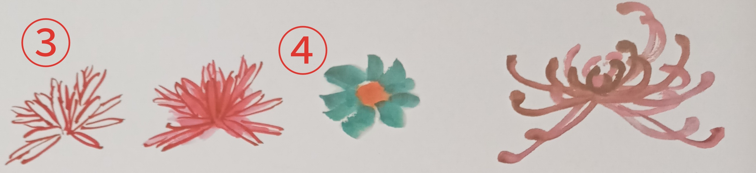 国画菊花初学者怎么画视频,圆形卡纸怎样画菊花国画