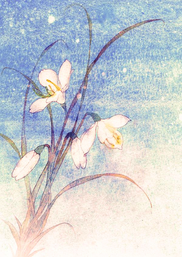 咏兰的诗词大全,咏兰诗句书法作品