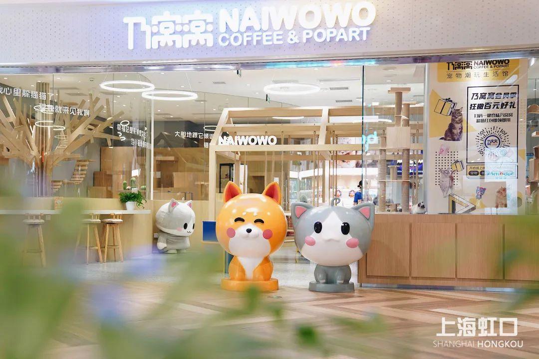 撸猫剧本杀新都,济南撸猫剧本杀