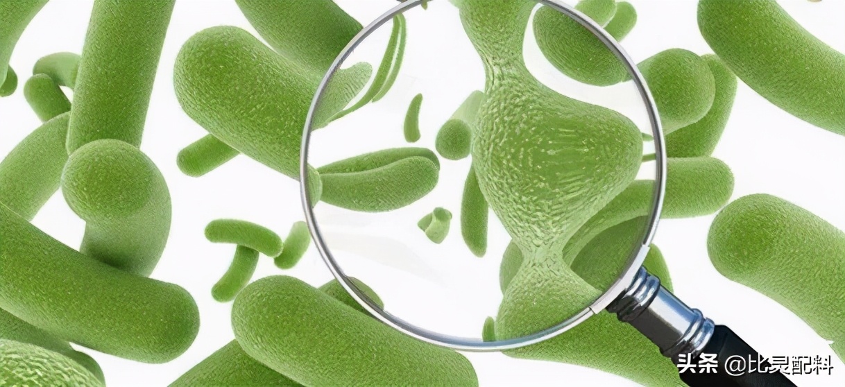 益生菌灭活菌治疗什么的,益生菌干粉和灭活哪种好