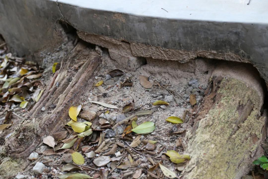 检察蓝用心守护海洋蓝,检察蓝守护最美夕阳红