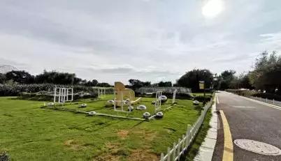 七夕你想怎么玩？情定大码头、反转可口可乐？超多福利撩你没商量