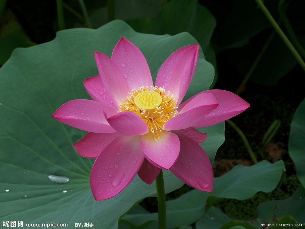 怎样排流年正确方法,如何排流年