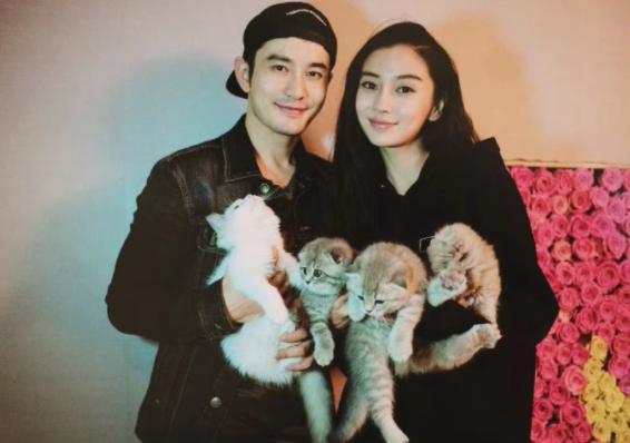 郑恺知道黄晓明和杨颖现在情况吗,郑恺和黄晓明评价杨颖