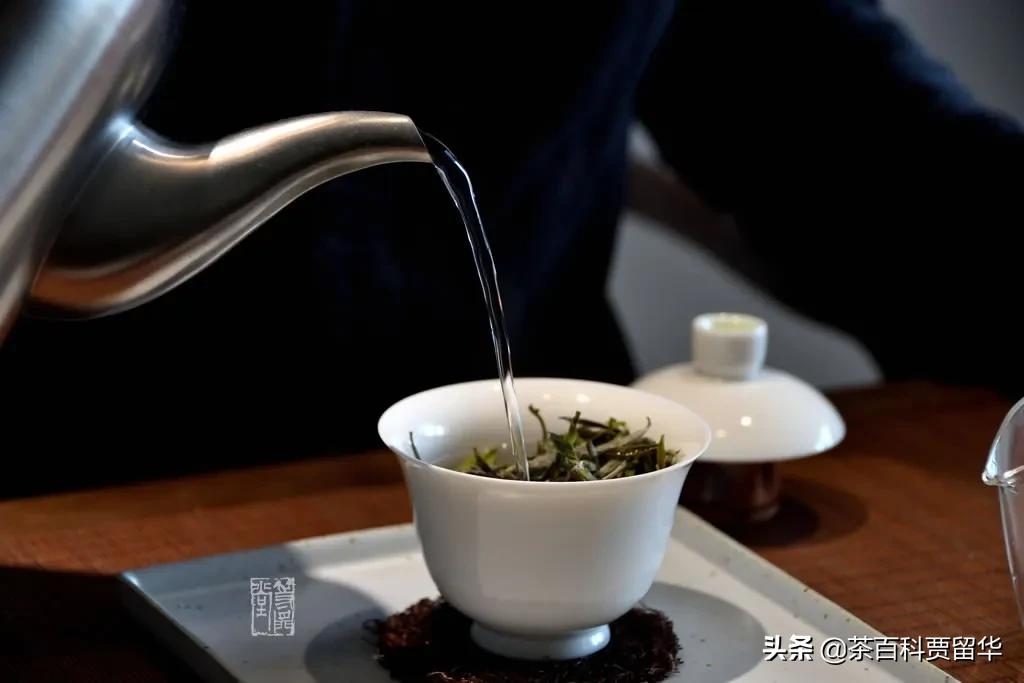 大红袍正山小种金骏眉白茶铁观音,白茶铁观音金骏眉