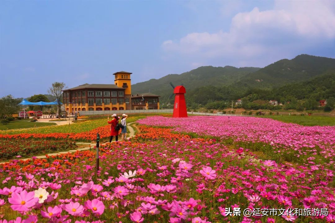 鏁伴娴佷汉鐗╃湅浠婃湞绱犳潗,鏁伴娴佷汉鐗╃湅鍘嗗彶娌夋诞