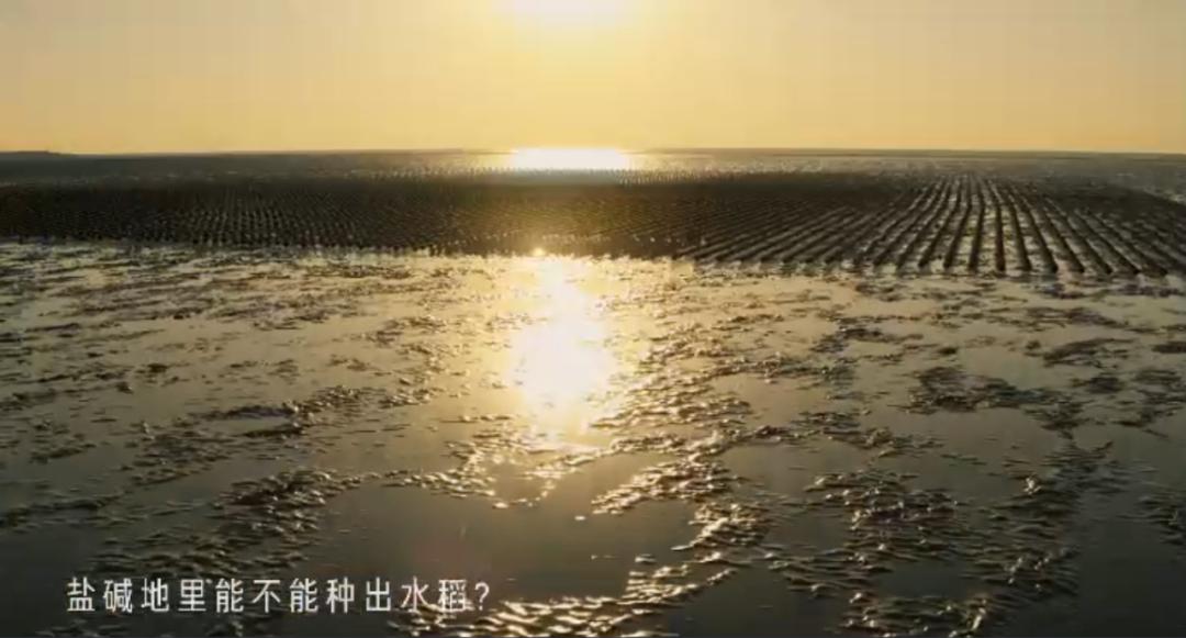 2021知乎答案,最佳案例知乎