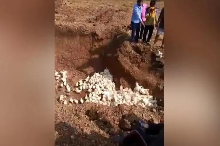 新冠疫情国际谣言,新冠疫情散播谣言的影响