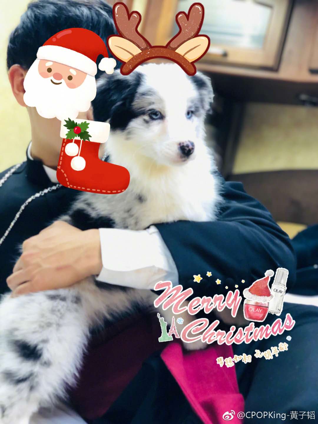 黄子韬被误伤的视频,黄子韬被狗狗咬