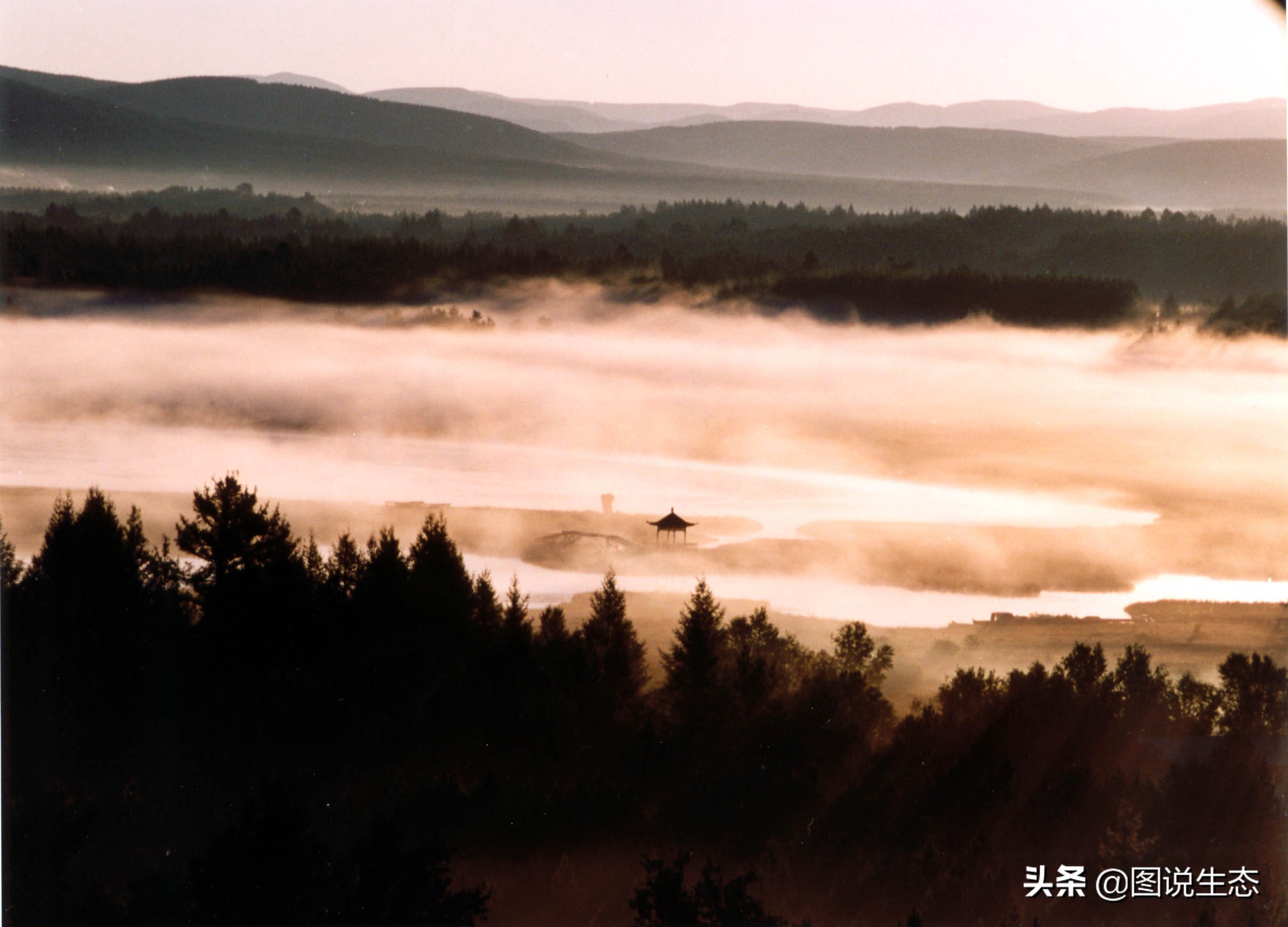 写出最真实的塞罕坝，永远是居住在塞罕坝的主人，请听他们如何说