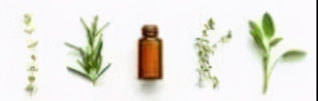 精油的基础知识大全,精油的护肤知识