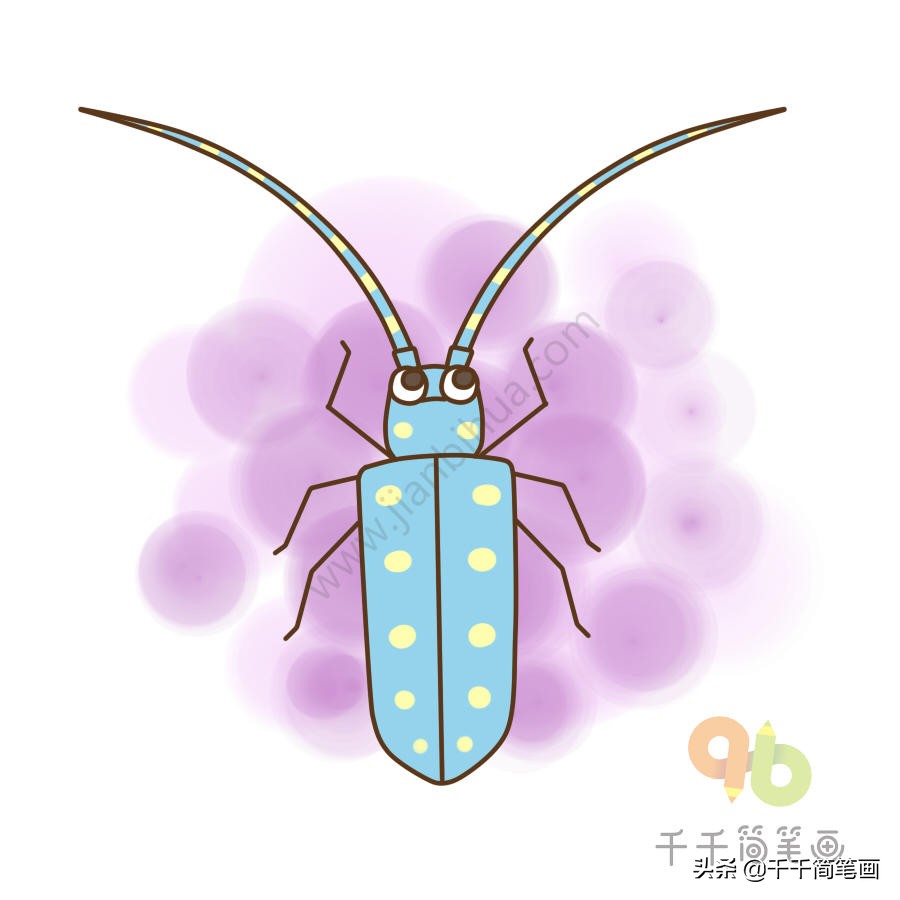 昆虫简笔画和介绍,昆虫简笔画及简介