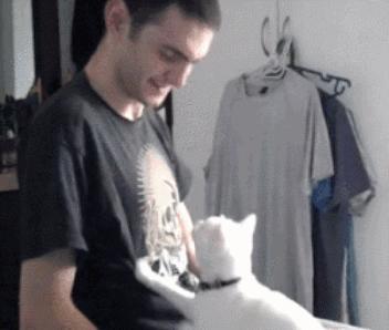 自从有了猫,自从有了猫以后好像变了一个人