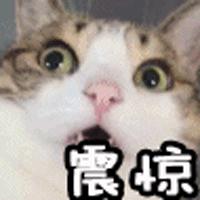 东莞人去香港要办理哪些证件,入境香港带哪些是违法的