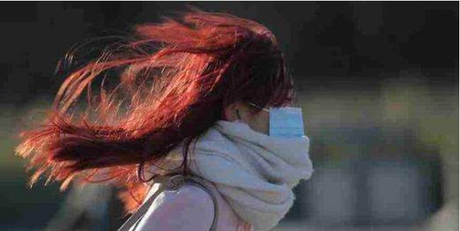 青岛的冬天是多风和冷的,不刮风会怎么样