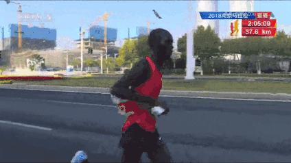 马拉松赛道上的兔子,马拉松中的兔子该怎么跑