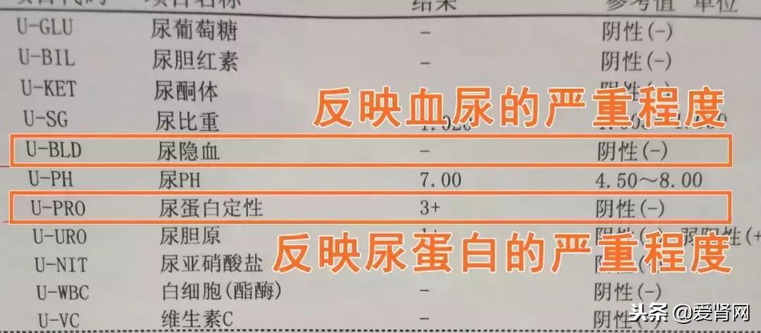 复查心里没底？简单易懂的肾内科检查解读，给每一位需要的肾友