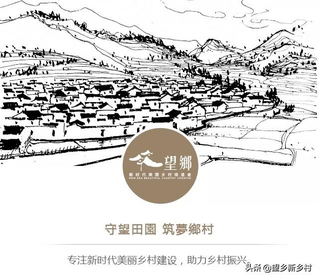 生态农业的产业特征,生态农业的前景怎么样