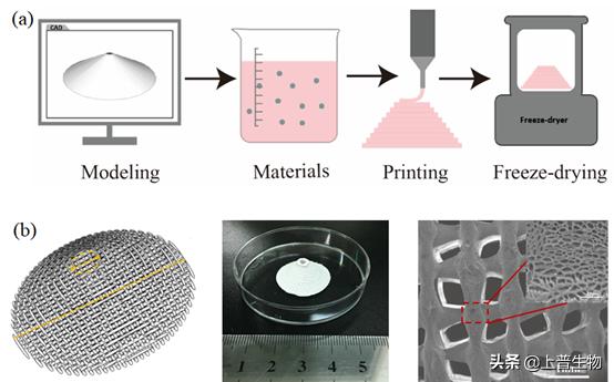 biomedicalmaterials鏈熷垔,biomedicalmaterials