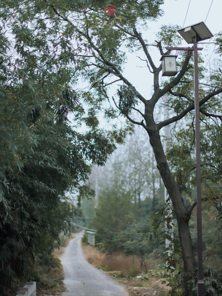 武汉温馨的旅游景点,武汉宝藏旅游胜地免费景点