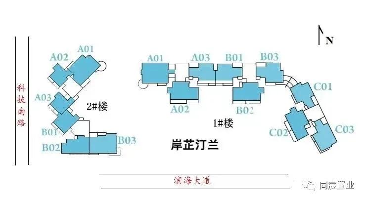 南山顶流学位科技园南｜南外高新最强攻略（下）