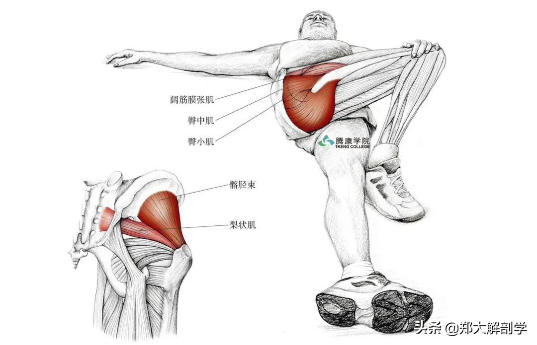 老年人蹲马步的正确方法,老年人膝盖疼蹲不下去怎么锻炼