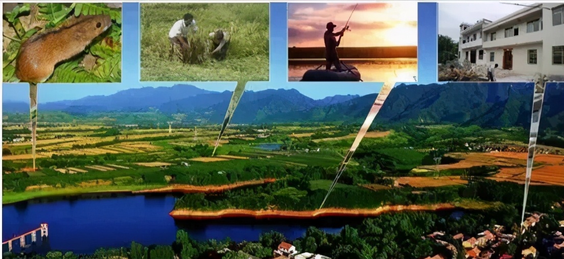 肾综合征出血热防治知识