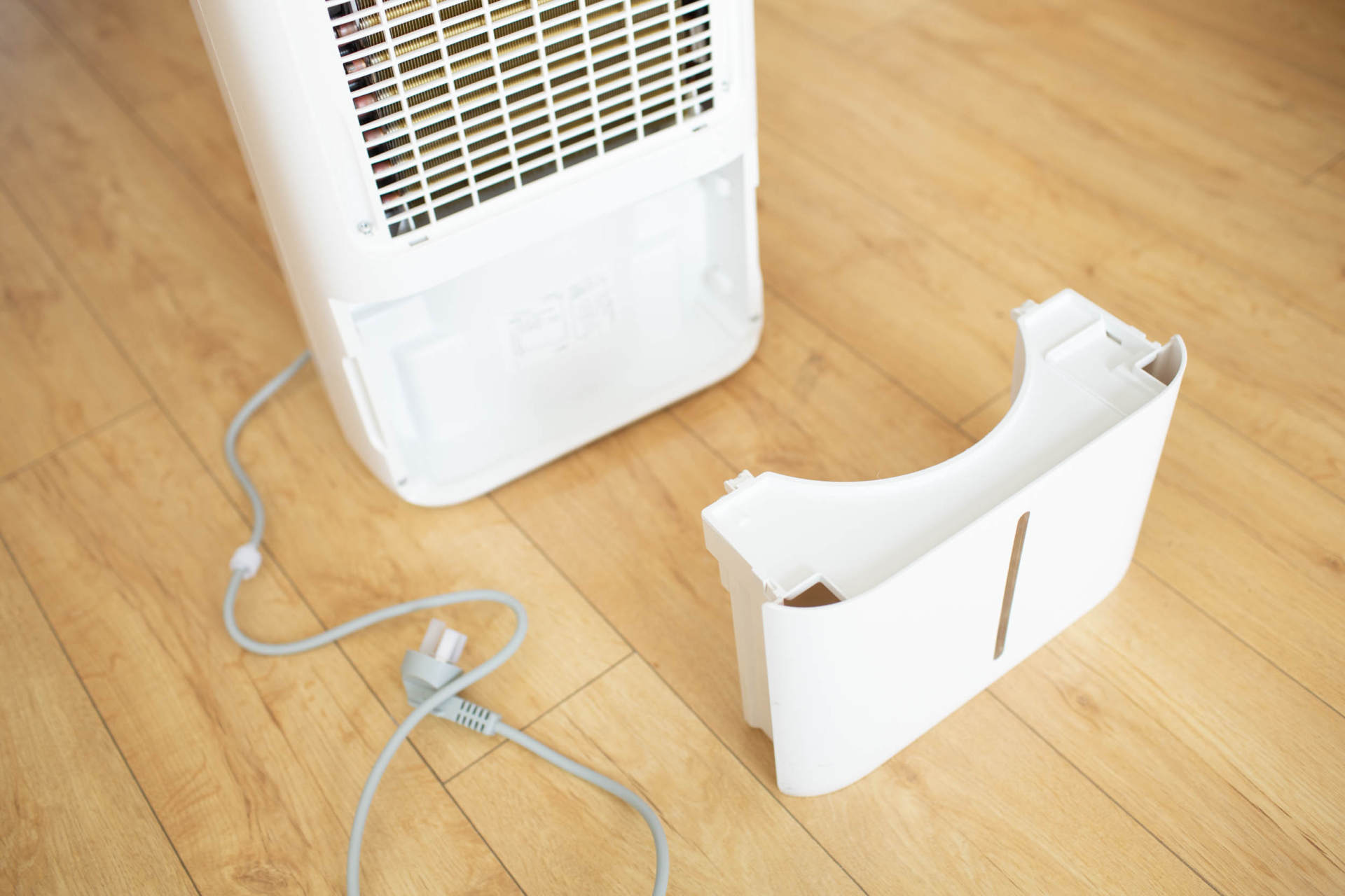 抵御南方湿冷的魔法攻击,小而强悍的伊岛*湿机除**