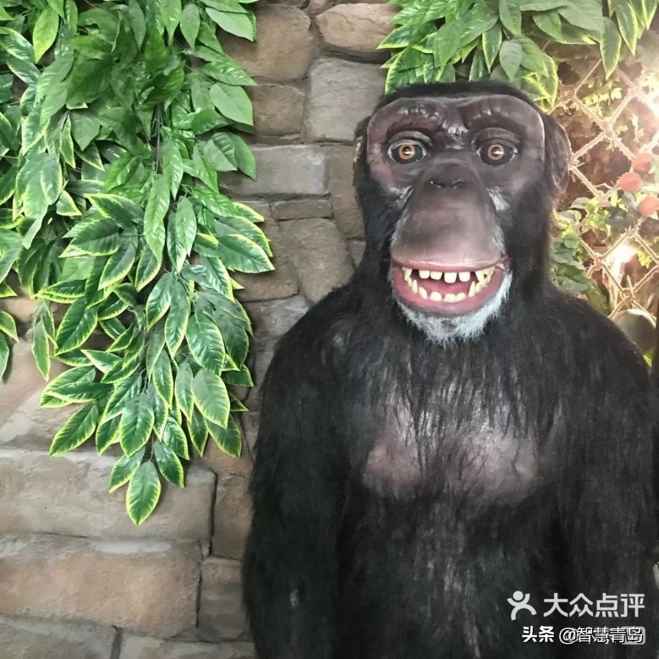 青岛威海烟台夏天哪个凉快,青岛夏季游玩攻略大全