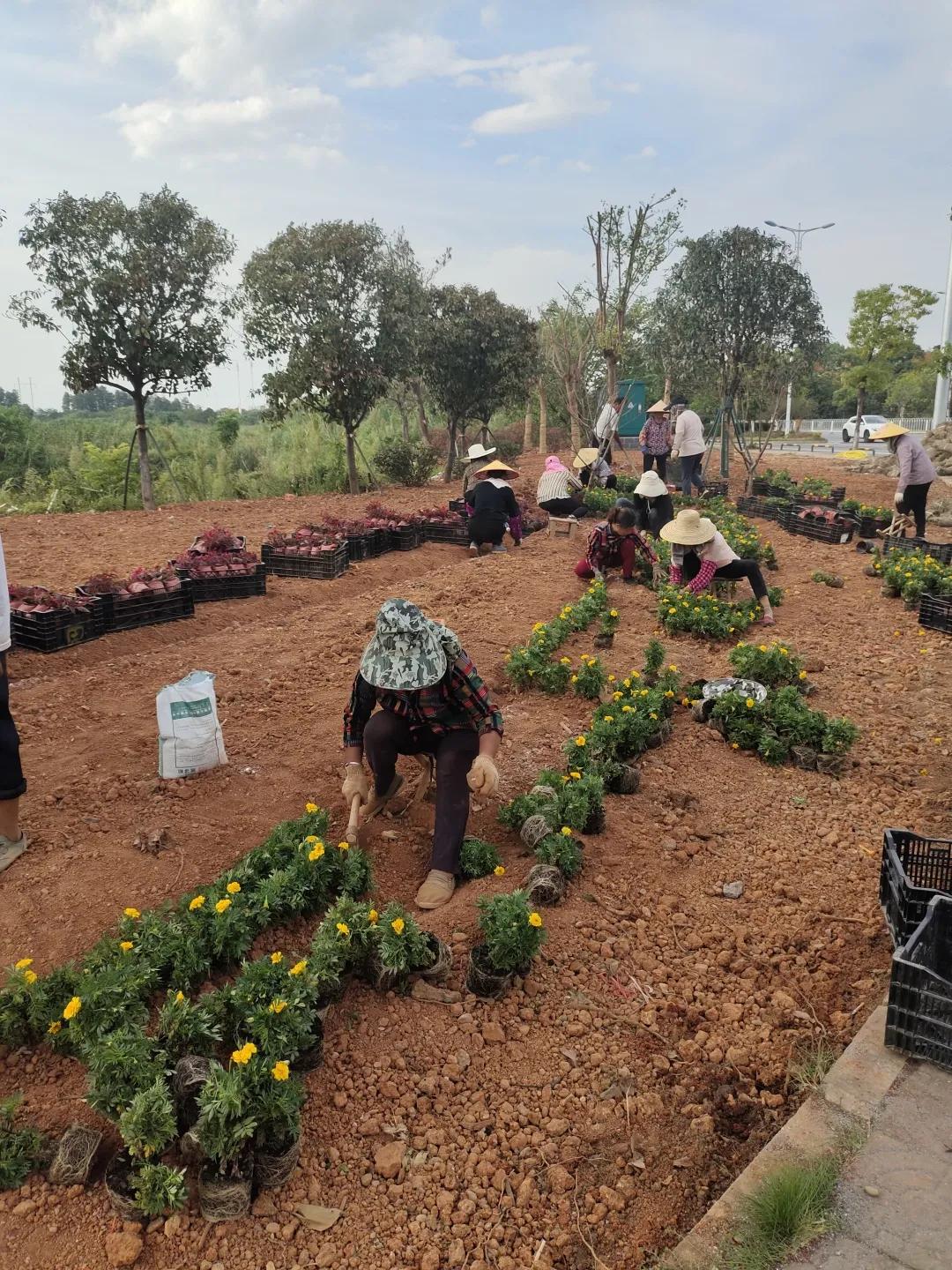 望城“百日攻坚”，城投项目在提速！