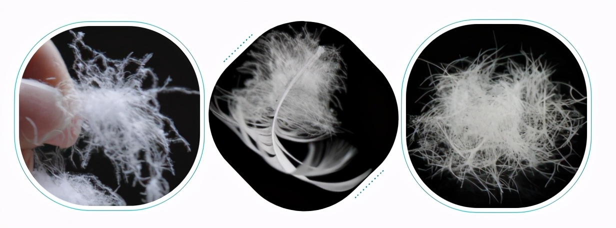 羽绒怎么处理无异味,羽绒相关问题