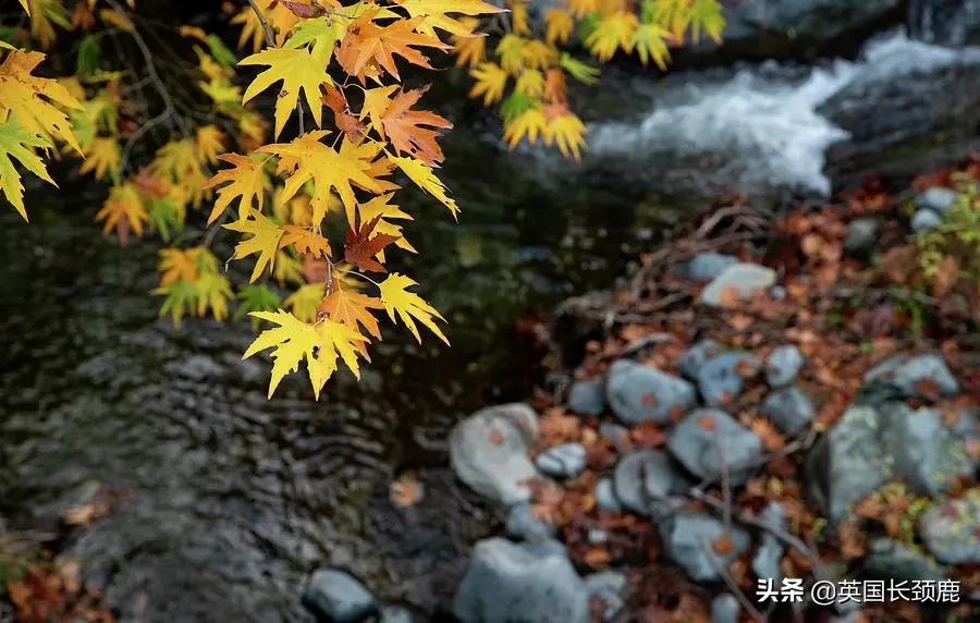 英国秋天好去处,英国秋天旅游必去的地方