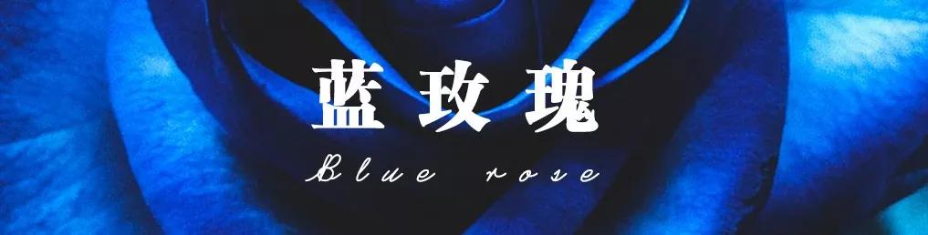 花店必备的5款玫瑰,花店常用的10款玫瑰花是哪些品种