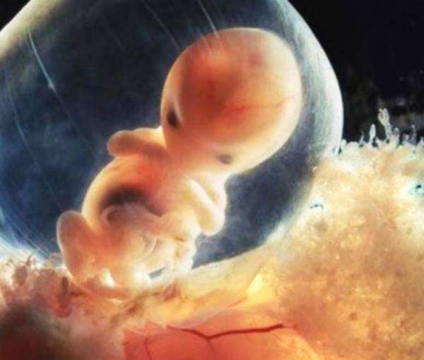 胎儿流掉后医生会怎样处理,自然流出来的胎儿怎么处理