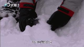 野外生存小技巧怎么过滤水,野外生存取水的正确方法