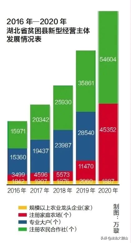 战疫精彩文章,荆楚大疫全篇文章