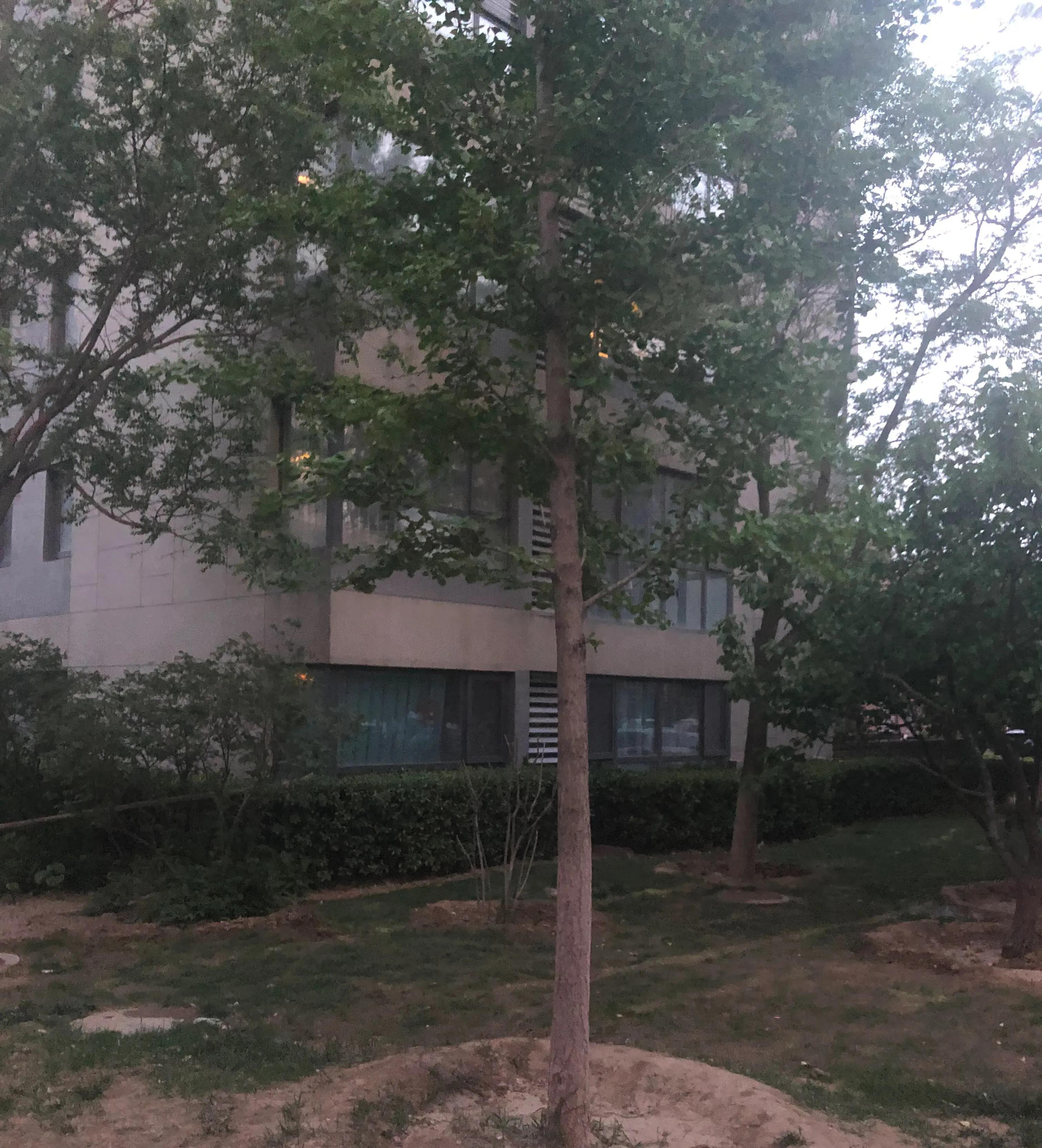 住一层等于住地下室？不要让精明的开发商忽悠，万科楼盘大揭秘