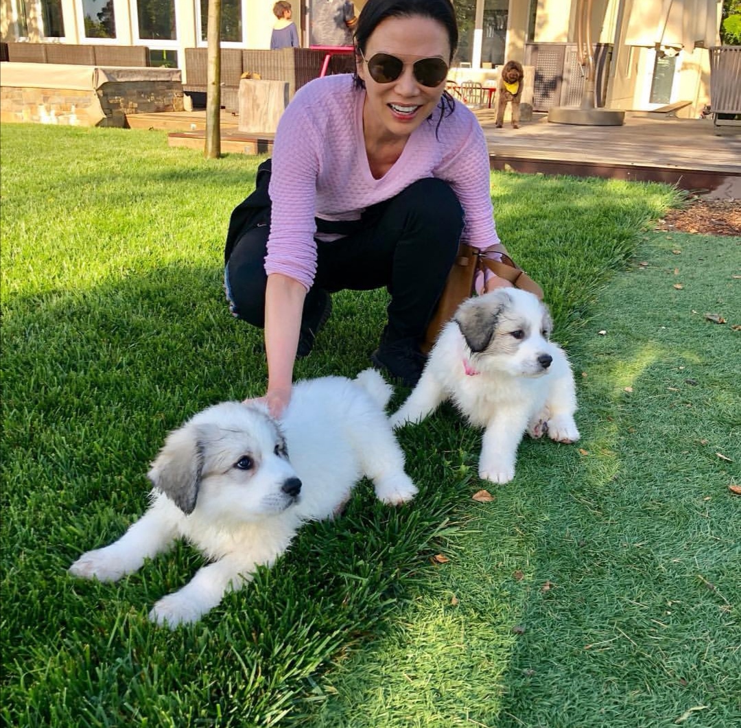 51岁邓文迪图,51岁邓文迪容光焕发