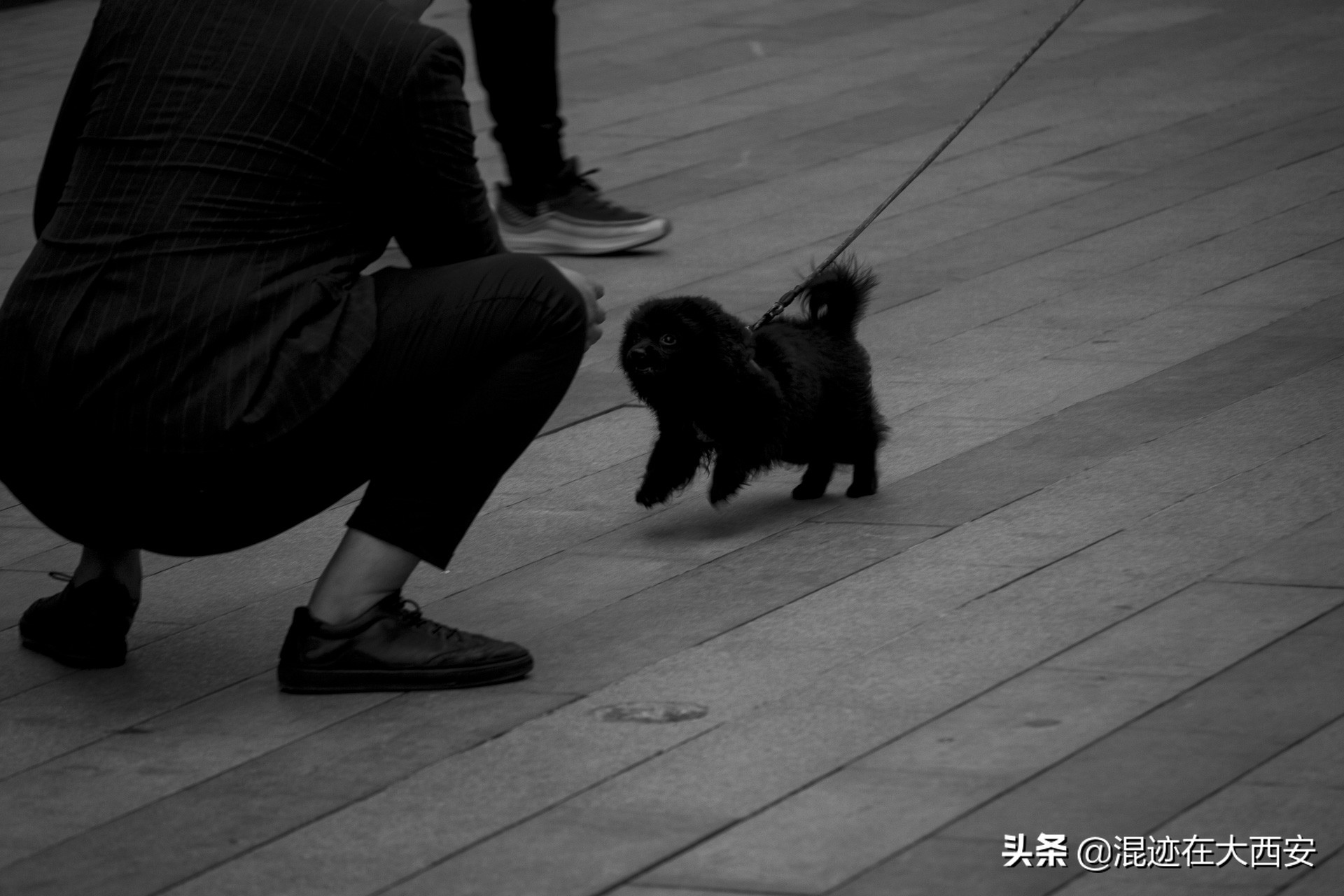 西安中贸广场夜景图,西安中贸广场攻略