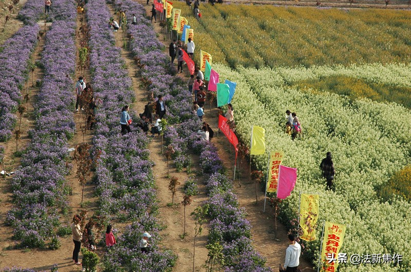 建党百年感人诗歌,献礼建党百年诗