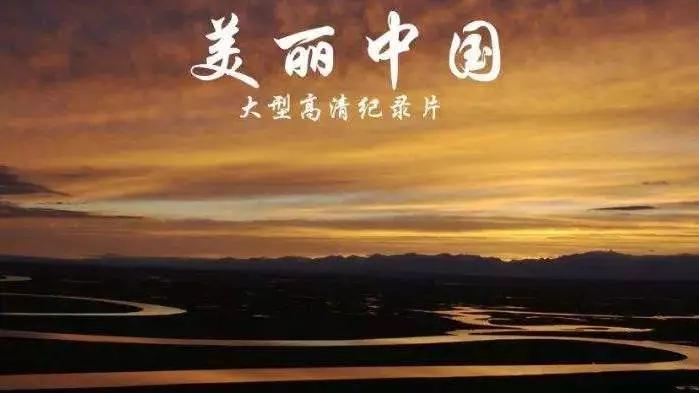 寒假纪录片推荐小学生,寒假适合中学生看的纪录片